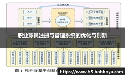 职业球员注册与管理系统的优化与创新